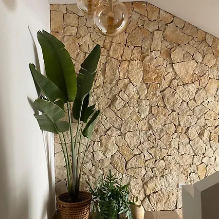 Apartment Mary House Scauri (Lazio)